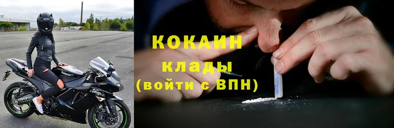 Cocaine FishScale  купить наркотик  сайты даркнета формула  Мышкин 